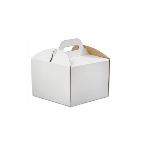 KARTON TORT  18/18/10 A100