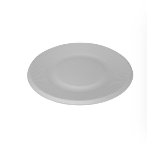 Talerz z trzciny cukrowej 210mm