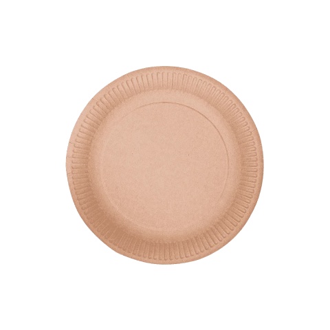 Talerz papierowy KRAFT NATURE 230mm 100 sztuk